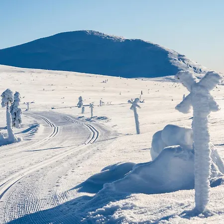 Trysil Hotel Трисиль