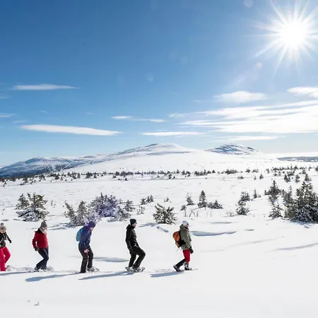 Отель Trysil Hotel