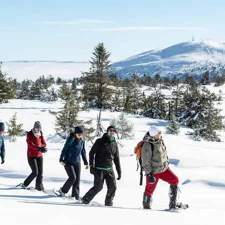 Trysil Hotel Отель Трисиль