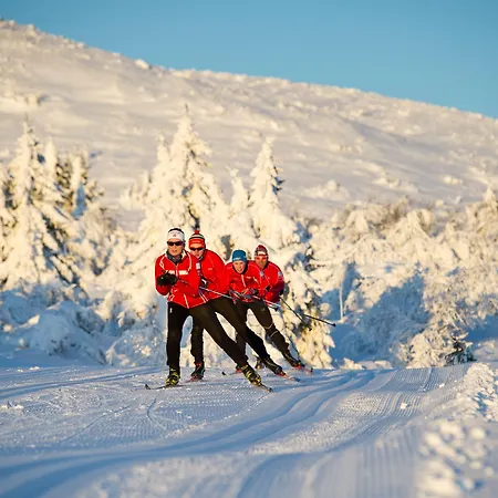 Trysil Hotel Отель Трисиль