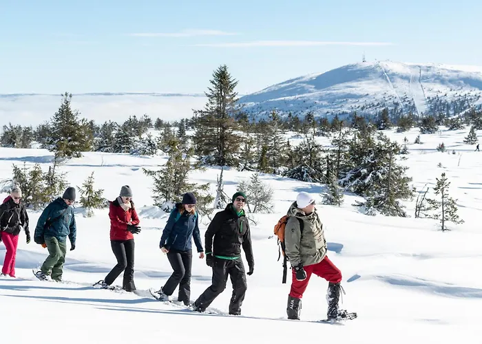 Trysil Hotel Hotell Trysil