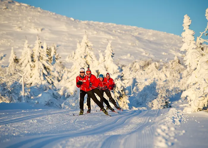 Trysil Hotel Hotell Trysil